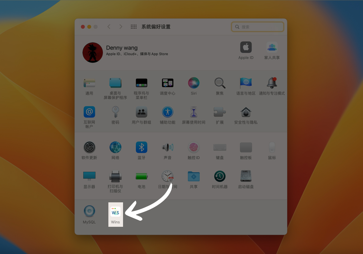 Wins - Mac 多窗口管理工具
