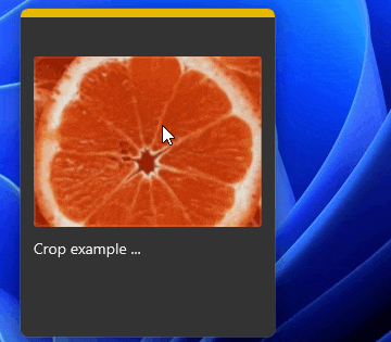 Windows 软件史低折扣，这些产品闭眼可入